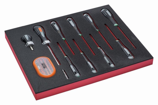 Bahco 2/3 Einlage, Schraubendreher, Torx + Bits, 12-teilig, FF1F1005