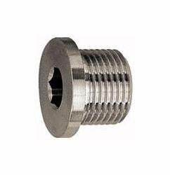 Riegler Verschlussschraube mit Innensechskant und Bund, 111647