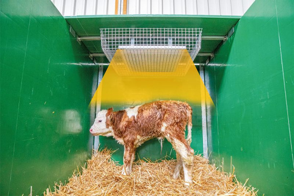 Patura Mittelstütze Kälber-Schrägfressgitter passend auch für SV und SSV Kalb, 33429301