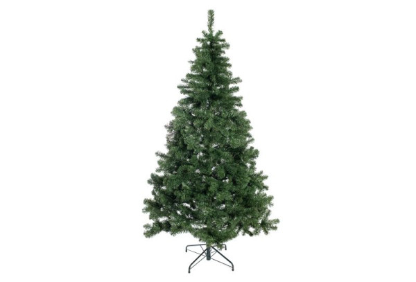 Evergreen Künstlicher Weihnachtsbaum Oxford Kiefer, 210 cm, PGTG70GH302X08