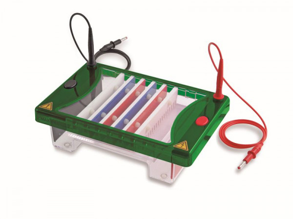 Consort EHS1302-SYS MIDIPLUS-Horizontaleinheit 15X10 cm, EHS1302-SYS