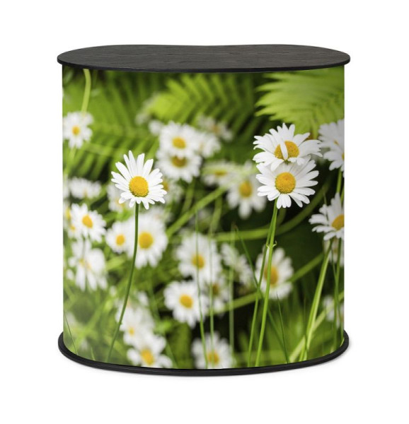 Showdown Displays Promotiontheke Professional Original M Tischplatte Schwarz - ECO, CPOMTTB-ECO