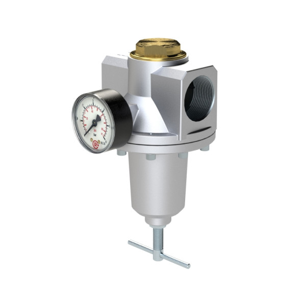 Riegler Konstant-Druckregler inklusive Manometer, BG 5, G 1 1/4, 0,1 - 3 bar, 147523