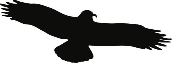 Moedel Piktogramm Vogel einzeln schwarz, Folie, 195x75mm, 52399