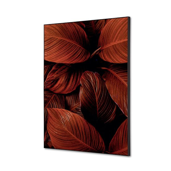 Showdown Displays Spannstoff Wanddekoration SET A2 Botanische Blätter Rot, TFR22WA2-SET-I19