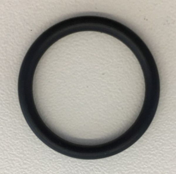 ELMAG O-Ring 20, 29x2, 62mm für ROLL WATER PROFI, 9402113