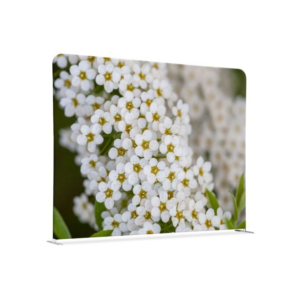 Showdown Displays Textil Raumteiler 150-150 Doppel Weiße Blume Spirea, ZWS150-150SSK-DSI3