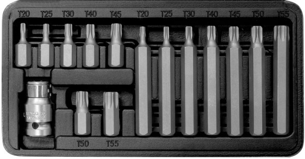 SW-Stahl Bitsortiment, 3/8", T-Profil, T20-T55, 15-teilig, 04420L