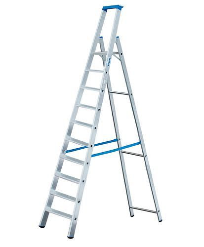 DENIOS Stufenstehleiter aus Aluminium, mit 2 Sicherheitsgurten, 10 Stufen, 156-875