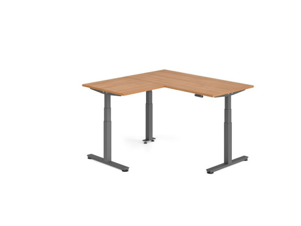 Hammerbacher Sitz-Steh-Winkeltisch 160x160cm Nussbaum/Graphit, VXDSMW1608/N/G