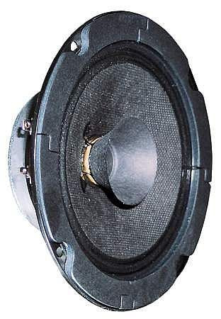 Visaton Breitbandlautsprecher mit Hochtonkegel BG 13 P - 8 Ohm, 3011
