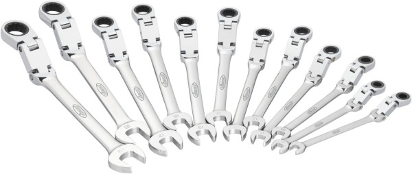 VIGOR Doppelgelenk Ratschen-Ring-Maulschlüssel Satz, Außen-Doppel-Sechskant Profil, Außen-Sechskant Profil, Anzahl Werkzeuge: 12, V6752/12