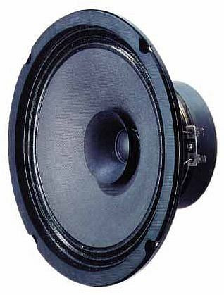 Visaton Breitbandlautsprecher mit Hochtonkegel BG 20 - 8 Ohm, 3020