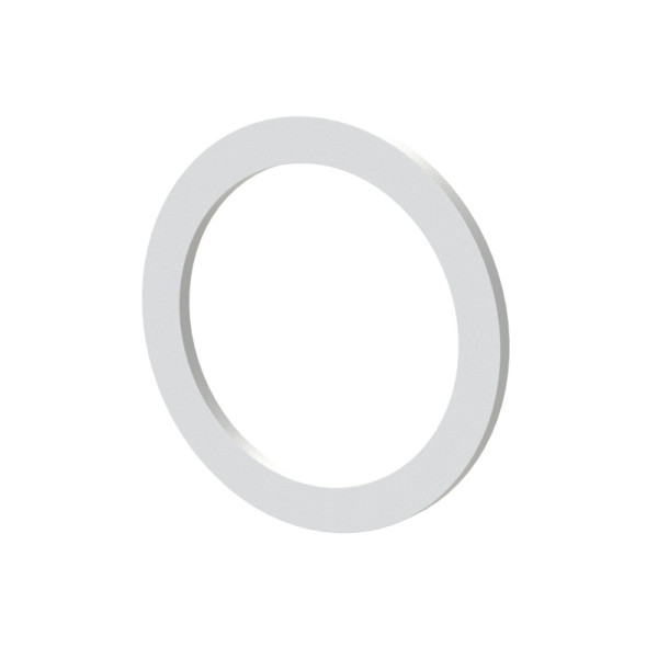 Riegler Flachdichtung für Lösbarer Doppelgewindenippel aus PTFE Größe 3, 119424