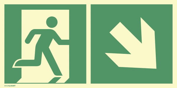 Moedel Notausgang rechts abwärts, Kombi, ISO 7010, Aluminium, nachleuchtend, 160-mcd, 594x297 mm, 101319