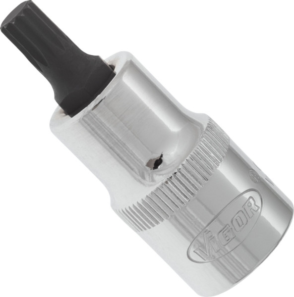 VIGOR Innenvielzahn Schraubendreher-Einsatz (XZN), Vierkant hohl 12,5 mm (1/2 Zoll), Innen Vielzahn Profil XZN, M8, Länge: 55 mm, VE: 5 Stück, V2096