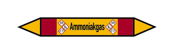 Schilder Klar Rohrleitungskennzeichen Ammoniakgas, 187x26 mm Folie selbstklebend, 101542/31