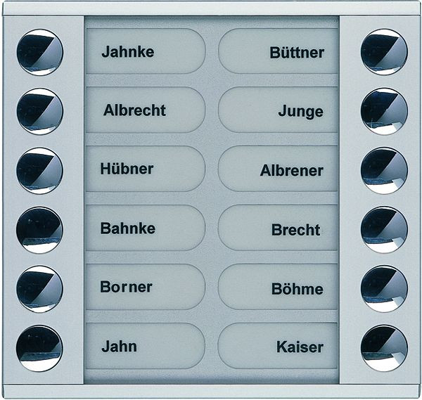 TCS Klingeltastenerweiterung für Audio Außenstation Serie PES/AVE 12 Klingeltasten (rechts-/linksbündig), AP silber, PET12-EN/04