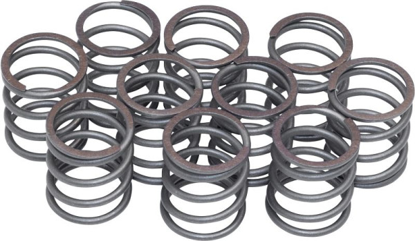 Hazet Feder, Satz à 10 Stück für 9012 SPC, Netto-Gewicht: 0.09 kg, 9012SPC-05/10