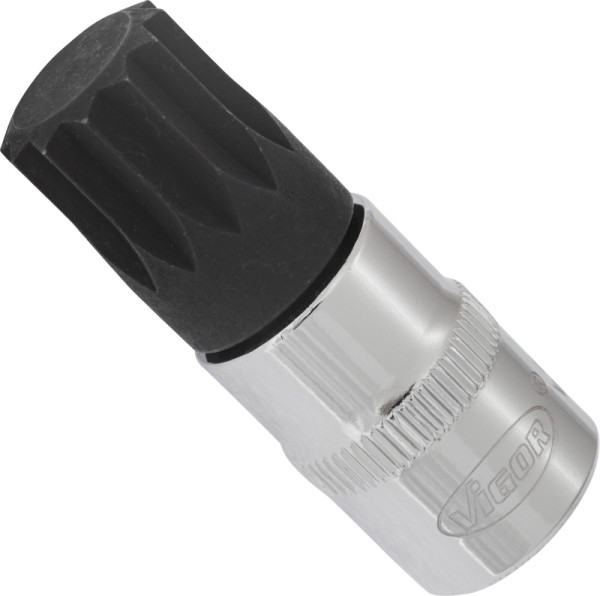 VIGOR Schraubendreher-Einsatz, Vierkant hohl 10 mm (3/8 Zoll), Innen Vielzahn Profil XZN, M16, V6113