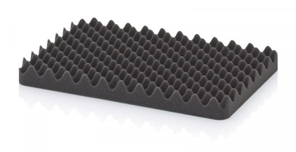 Auer Deckelpolster Schutzkoffer, LxBxH: 35,7 x 23,9 x 3,5 cm, CP SEDNW 43
