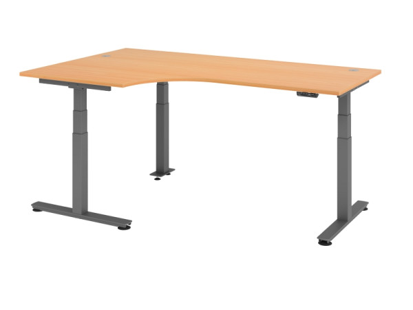 Hammerbacher Sitz-Steh-Winkeltisch elektrisch 200x120cm 90° Buche, VXDSM82/6/G