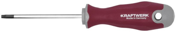 Kraftwerk PRO LINE TX Schraubendreher TX25 100, 305.430.025