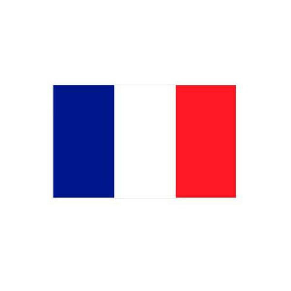Stein HGS Länderflagge Frankreich, 100 x 150 cm (Querformat), mit Seil und Schlaufe, FlagTop 110 g/m², für Fahnenmasten 6 m, ohne Hohlsaum, 26926