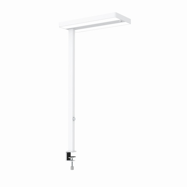 MAUL LED-Schreibtischlampe mit Tischklemme MAULjuvis dimmbar, Bewegungs-/Lichtsensor, weiß, 8258702