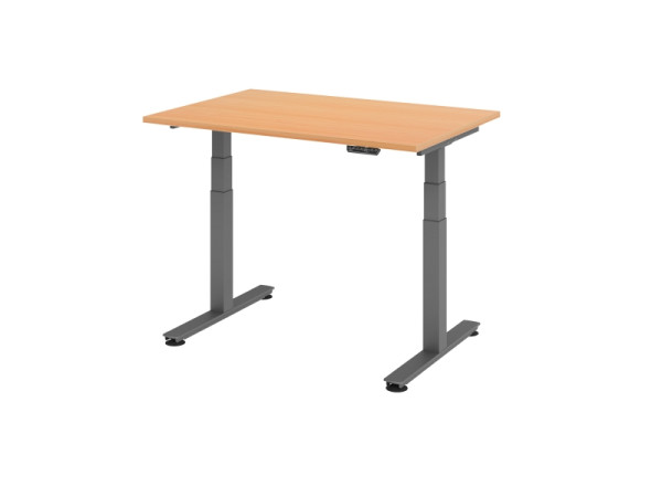 Hammerbacher Sitz-Steh-Schreibtisch elektrisch 120x80cm Buche, VXDSM12/6/G