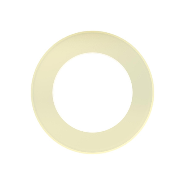 Riegler Anschlussdichtung aus PA, für Flaschendruckregler 200 bar, 118852