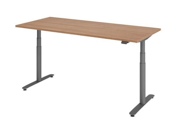 Hammerbacher Sitz-Steh-Schreibtisch elektrisch 180x80cm Nussbaum/Graphit, VXDLR19/N/G
