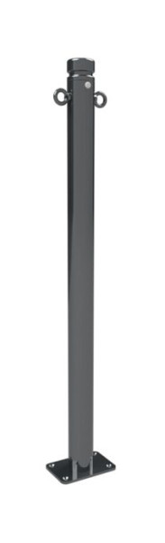 Schake Absperrstilpfosten Typ 464PB -ortsfest-, zum Aufdübeln, Ø 60mm, mit Zierkopf, beschichtet DB 703, mit 2 Ösen, 464PB+2