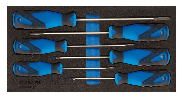 GEDORE CT-Einlage mit Sortiment, Schraubendreher-Satz PZ, 2309149