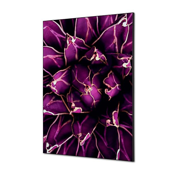 Showdown Displays Spannstoff Wanddekoration SET A1 Kaktus Lila, TFR22WA1-SET-I822