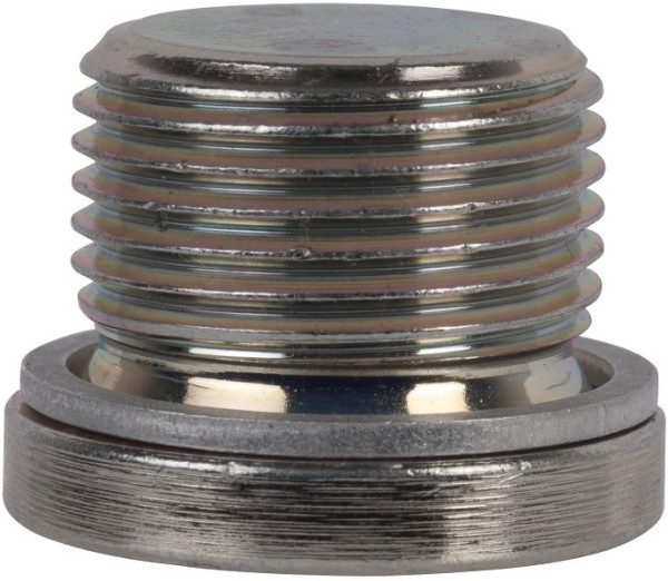 SW-Stahl Ölablaßschraube mit Aludichtung, M20 x 1,5, 03025L