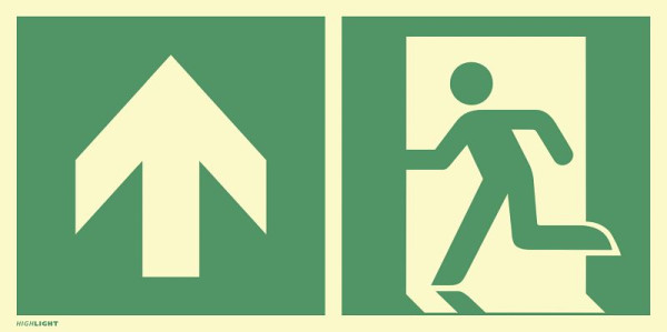 Moedel Notausgang links Pfeil oben, Kombi, ISO 7010, Folie, nachleuchtend, 160-mcd, 297x148 mm, 101257