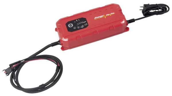 Kraftwerk Professionelles Kfz-Batterieladegerät 12/24 V / 25 A, 31314
