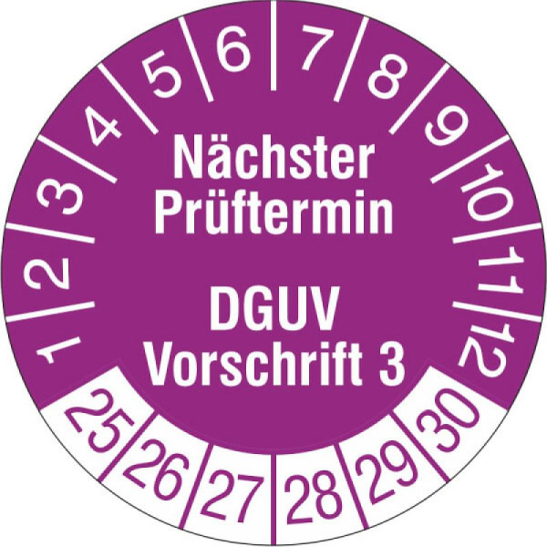Stein HGS Prüfplaketten o. Jahresfarbe (6 Jahre), Nächster Prüftermin, 2025-2030, 31.c7045-25