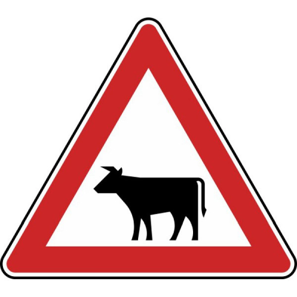 Stein HGS Viehtrieb, Aufstellung rechts Nr. 101-12, 900 mm, RA1, Flachform 3 mm, 101-12-213