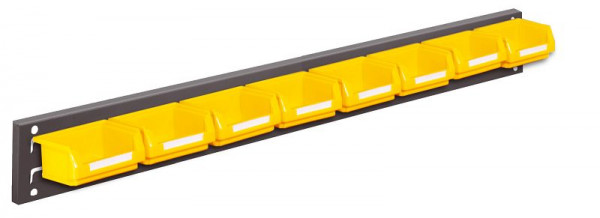 Kappes RasterPlan Wandschiene Schlitzplatte Set 2, L 920 mm x H 100 mm, RAL 7016, 8 x Lagersichtkästen Größe 8, 4202.01.5208