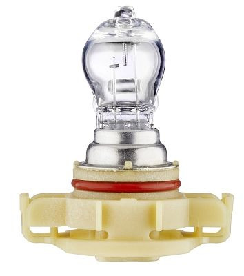 HELLA Glühlampe - PSX24W - Standard - 12V - 24W - Schachtel, 8GA 223 569-001