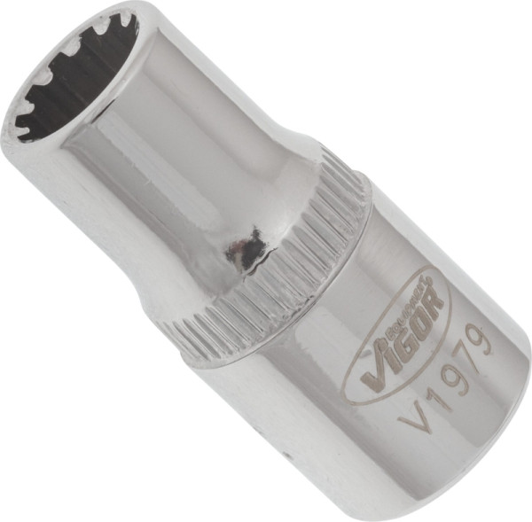 VIGOR Multiprofil-Steckschlüsseleinsatz, Vierkant hohl 6,3 mm (1/4 Zoll), Multiprofil, 6 mm, VE: 10 Stück, V1979