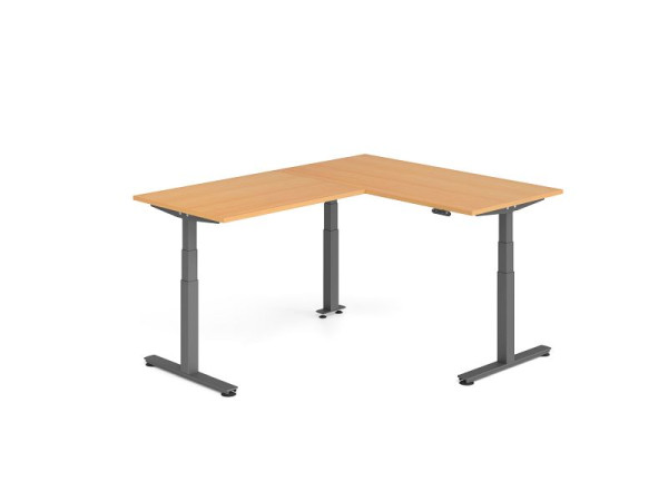 Hammerbacher Sitz-Steh-Winkeltisch 200x160cm Buche/Graphit, VXDSMW1612/6/G