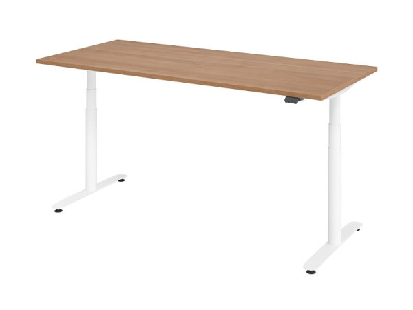 Hammerbacher Sitz-Steh-Schreibtisch elektrisch 180x80cm Nussbaum/Weiß, VXDLR19/N/W