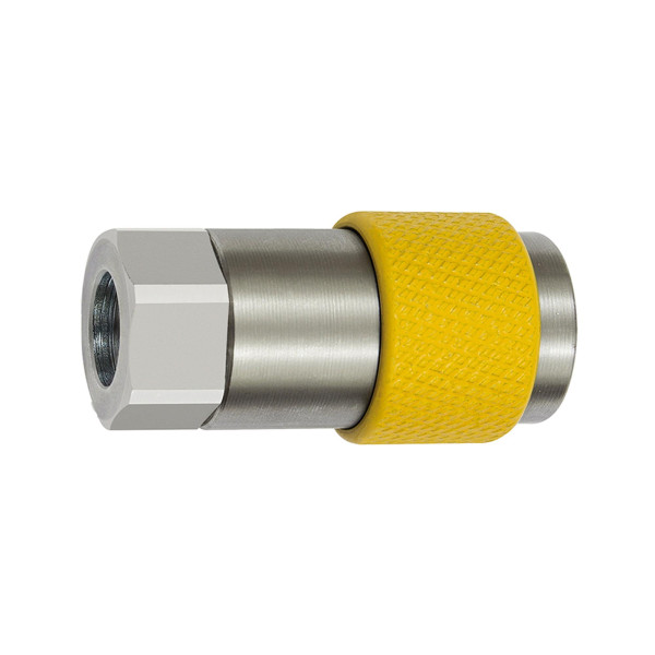 Riegler Unverwechselbare Dreh-Sicherheitskupplung NW 6, ISO 6150 C, G 1/4 IG, grau, 141872