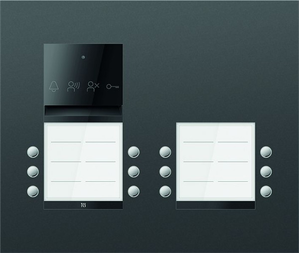 TCS Türkontrollsystem PES PRO Audio Außenstation 12T 4 Spalten UP RAL7016 anthrazitgrau, ASU600412-0017