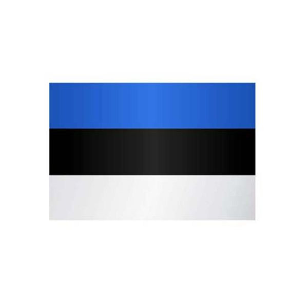 Stein HGS Länderflagge Estland, 300 x 120 cm (Hochformat), mit Kunststoff-Karabiner, FlagTop 110 g/m², für Fahnenmasten 7 m, ohne Hohlsaum, 26892