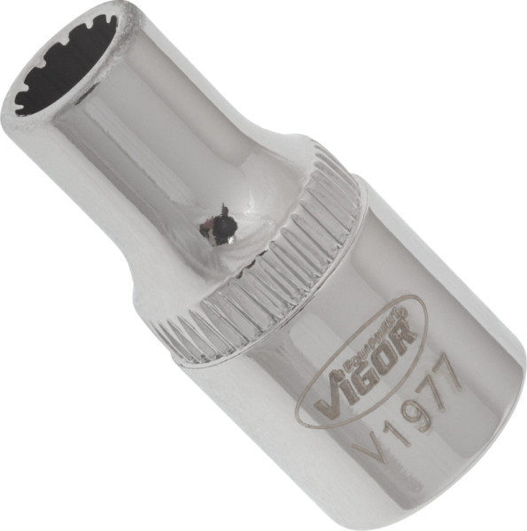 VIGOR Multiprofil-Steckschlüsseleinsatz, Vierkant hohl 6,3 mm (1/4 Zoll), Multiprofil, 5 mm, VE: 10 Stück, V1977