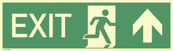Moedel EXIT geradeaus, Aluminium, langnachleuchtend, 160-mcd, 390x115 mm, 60561
